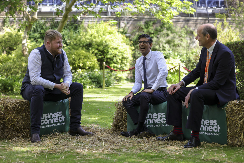 Cassian Horowitz tweet media