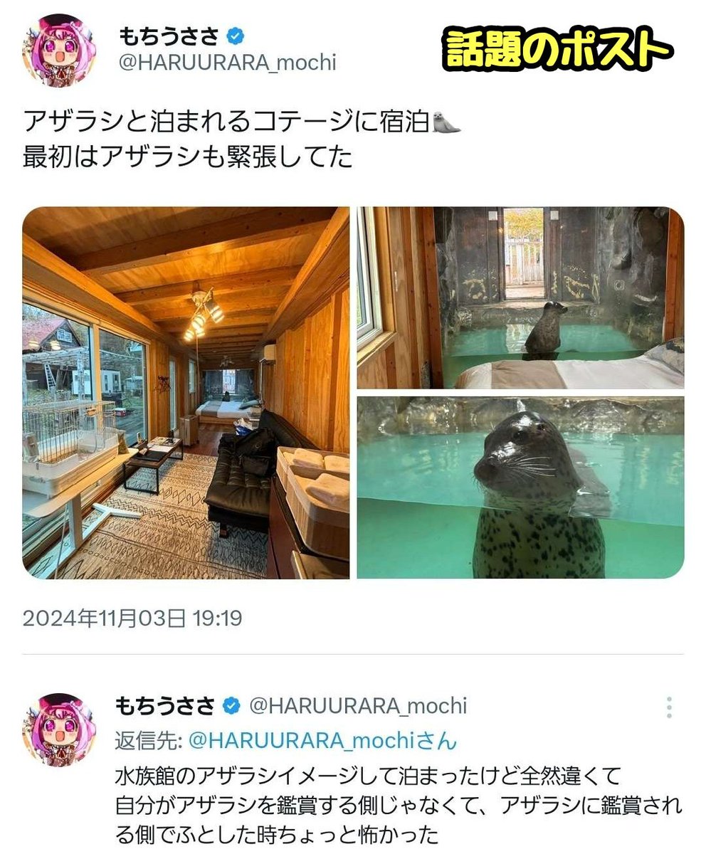 tkzwgrs's tweet photo. X民「“アザラシと泊まれるコテージ”に泊まってきた！」
↓
北海道札幌市の動物体験型テーマパーク“#ノースサファリサッポロ”の宿泊客のポストが話題に
↓
アザラシをはじめ各動物たちの展示方法が物議を醸す
↓
施設運営「展示方法への意見は要りません。場合によっては法的措置を取ります」(今ここ) https://t.co/Dbhxqkw8gK
