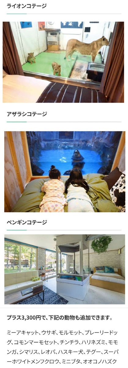 tkzwgrs's tweet photo. X民「“アザラシと泊まれるコテージ”に泊まってきた！」
↓
北海道札幌市の動物体験型テーマパーク“#ノースサファリサッポロ”の宿泊客のポストが話題に
↓
アザラシをはじめ各動物たちの展示方法が物議を醸す
↓
施設運営「展示方法への意見は要りません。場合によっては法的措置を取ります」(今ここ) https://t.co/Dbhxqkw8gK