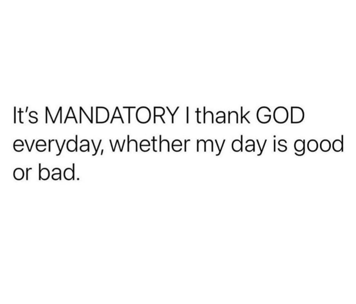 🎯