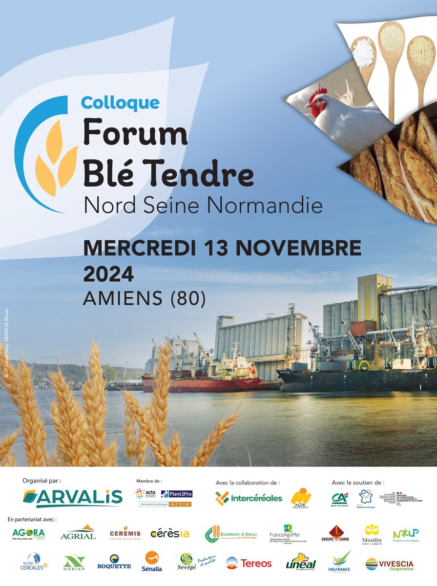 Arvalisofficiel's tweet image. 📢 J-7 avant le 𝗰𝗼𝗹𝗹𝗼𝗾𝘂𝗲 &quot;𝗙𝗼𝗿𝘂𝗺 𝗕𝗹𝗲́ 𝗧𝗲𝗻𝗱𝗿𝗲 𝗡𝗼𝗿𝗱 𝗦𝗲𝗶𝗻𝗲 𝗡𝗼𝗿𝗺𝗮𝗻𝗱𝗶𝗲&quot; qui réunira les acteurs de la filière de l&apos;amont à l&apos;aval 🌾🥖

📆 RDV mercredi 13 novembre 2024
📍 À Amiens (80)

📌 Programme et inscriptions arvalis.fr/evenements/col…