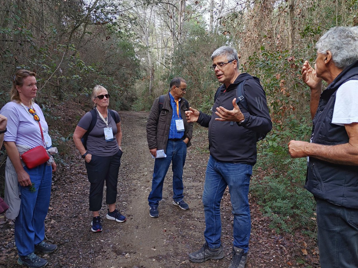 medforestweek's tweet photo. At the 8th #MedForestWeek participants are joining @CREAF_ecologia in exploring the #forest in Collserola to uncover threats & opportunities facing #UrbanForests 🏙️🦋🌳
➡️ https://t.co/G6Fturirwf
#MedForestWeek #8MFW https://t.co/L1TnYPMVns