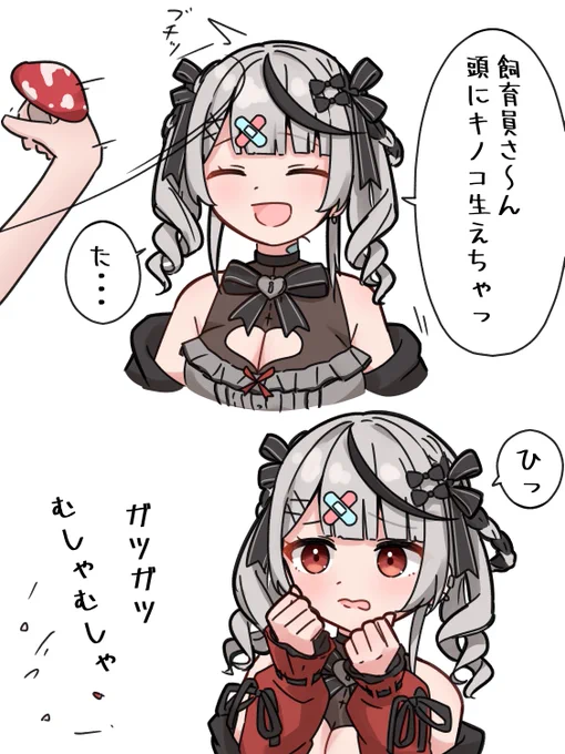 #さかまた飼育日記
キノコ 