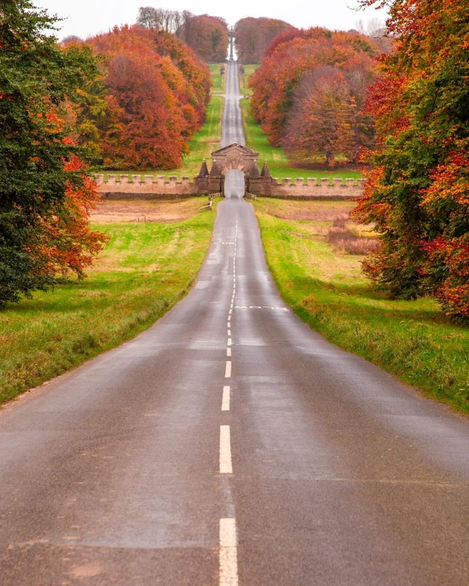 Timeline Cleanse 🍁