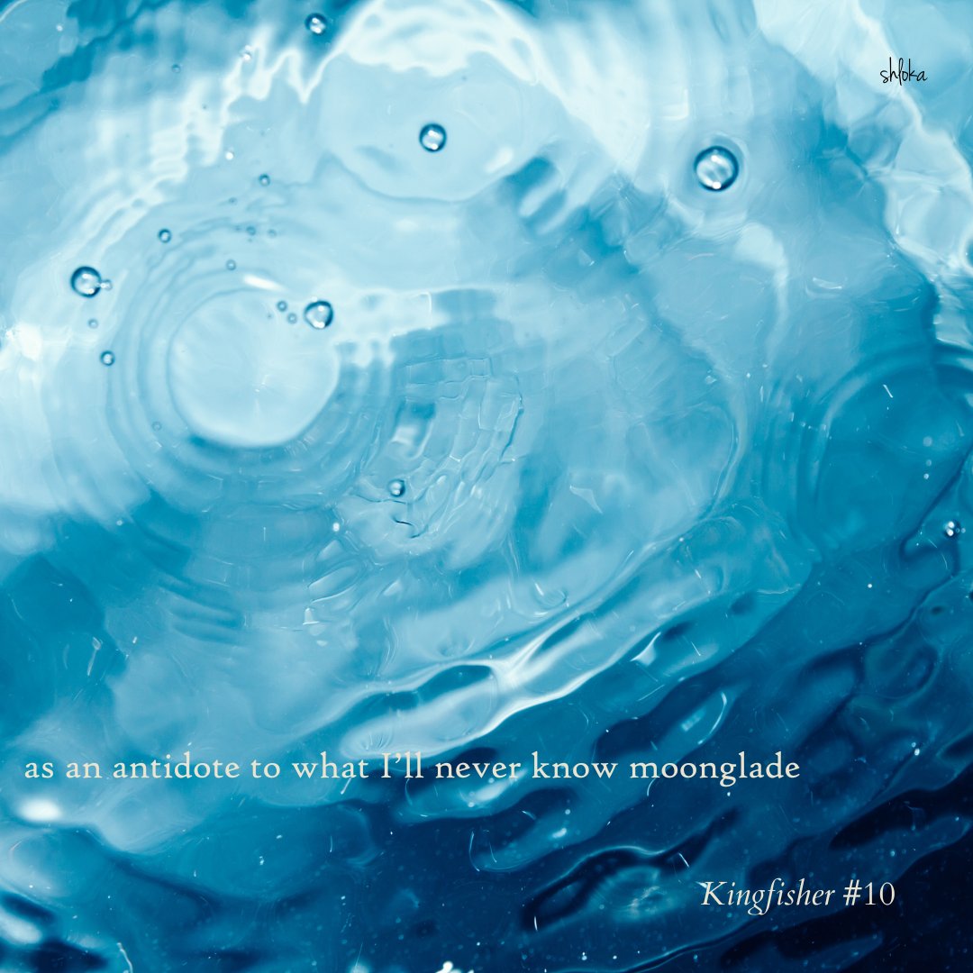 shloks89's tweet photo. A catch-up post after what feels like ages! :) 

New work in @SenryuJournal, Kingfisher, and #FemkuMag. Thank you to the editors and @arvinder8 for the haiga collab. https://t.co/2rMvEPjwml