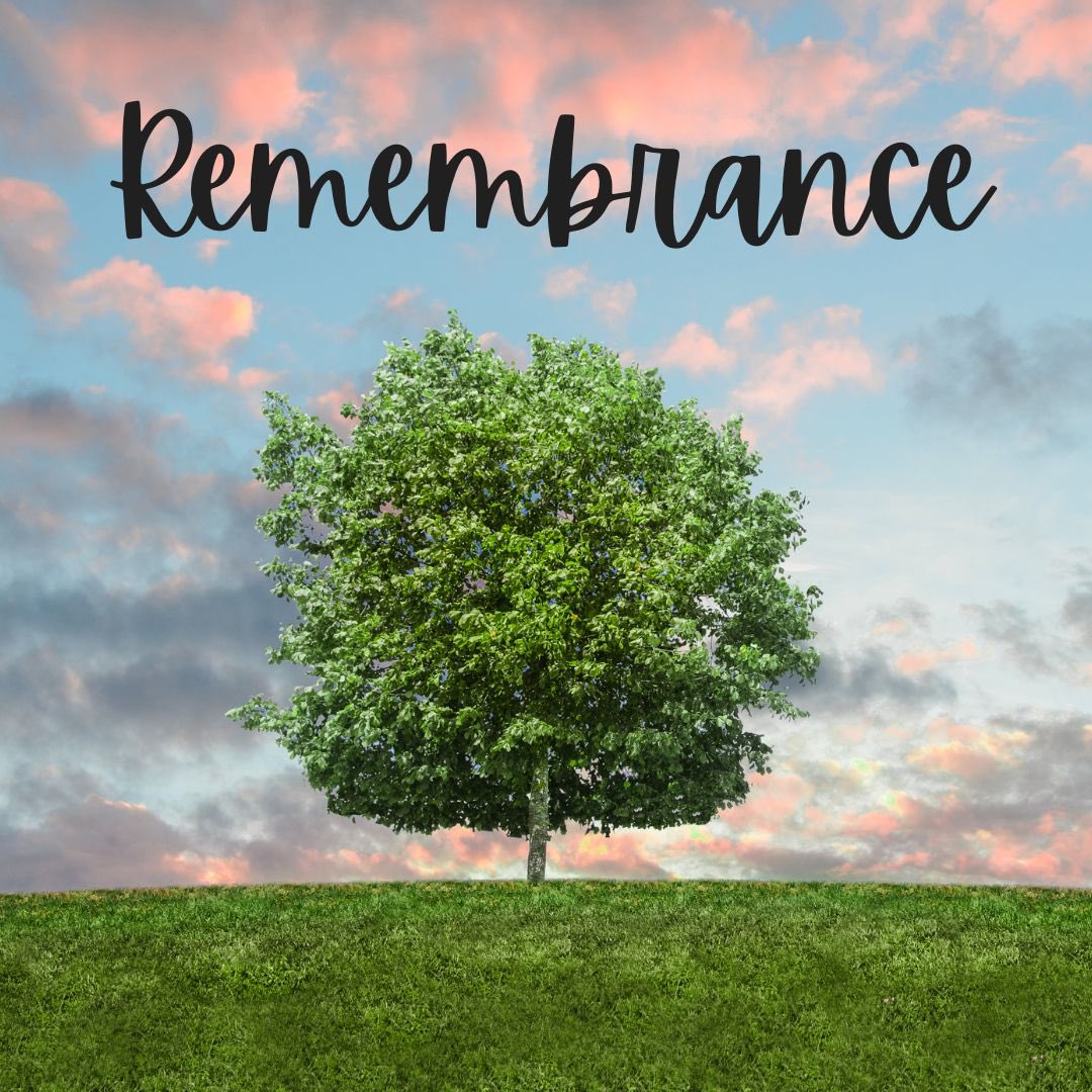 This Sunday at Hazelnut Bristol a Time of Remembrance 

From 3-5 PM, we’ll gather to honor the memory of those we have loved and lost, and those who have suffered violence around the world. We’ll reflect on what it means to live as a community of love, healing, and hope.