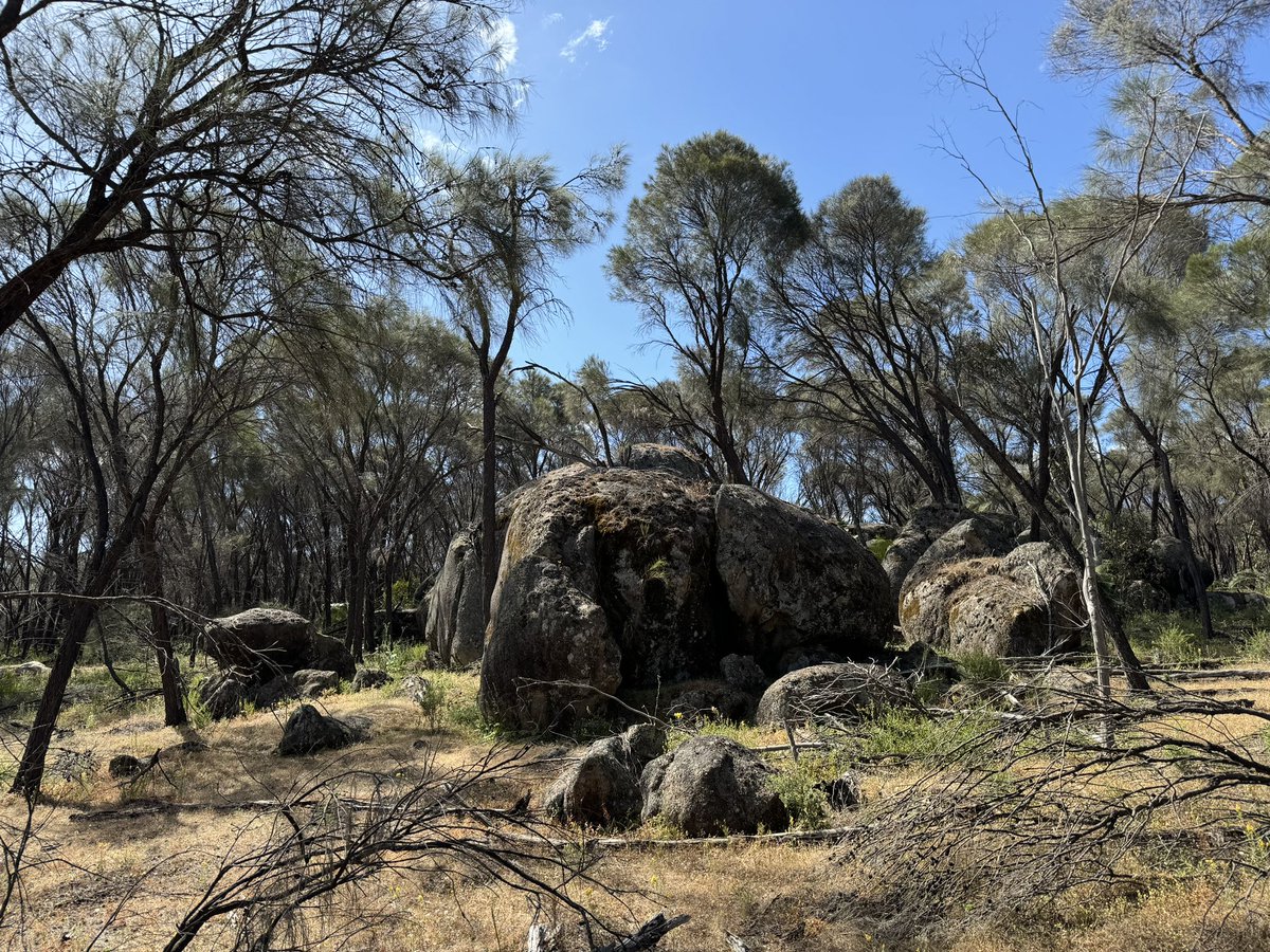 I’ve been out of range for the whole day..what did I miss? *slowly backs away from the internet*