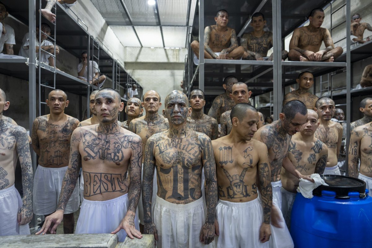 David Culver (@david_culver) on Twitter photo Inside the #ElSalvador prison that holds the ‘worst of the worst’. Critics say Cecot built under <a href="/nayibbukele/">Nayib Bukele</a> crosses the line and strips prisoners of humanity. But most Salvadorans tell us it’s given them their freedom to live.
<a href="/abelalvaradof/">Abel Alvarado</a>
<a href="/evelio/">Evelio Contreras</a>
cnn.com/2024/11/06/ame… Inside the #ElSalvador prison that holds the ‘worst of the worst’. Critics say Cecot built under <a href="/nayibbukele/">Nayib Bukele</a> crosses the line and strips prisoners of humanity. But most Salvadorans tell us it’s given them their freedom to live.
<a href="/abelalvaradof/">Abel Alvarado</a>
<a href="/evelio/">Evelio Contreras</a>
cnn.com/2024/11/06/ame…