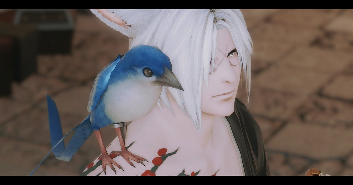 우리 애가 내 어깨에 앉았어!!!!!!!!!!!!!!!!!!!!!!!