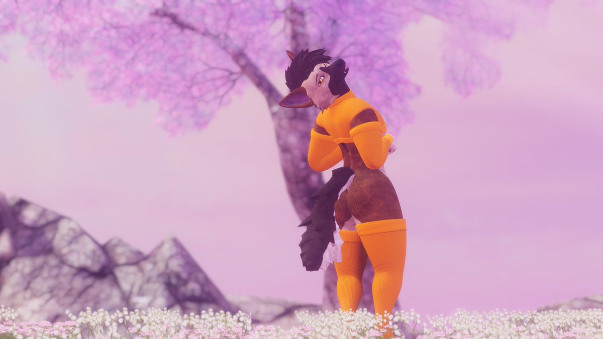 DutchenWolfen's tweet image. BACKSHOT BACKSHOT BACKSHOT BACKSHOT BACKSHOT BACKSHOT BACKSHOT BACKSHOT