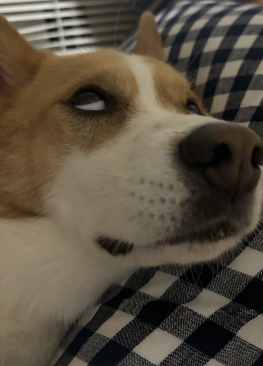 inullnuit (@inullnuit) on Twitter photo 