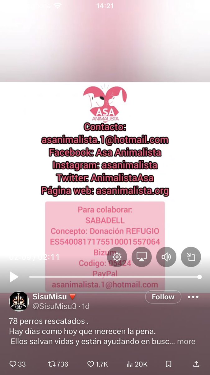 <a href="/SisuMisu3/">SisuMisu</a> Gracias <a href="/AnimalistaAsa/">Asa Animalista</a> 🥲