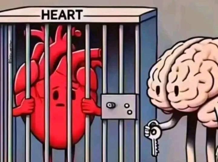 بات کو سمجھا کر میرے دوست !!!
یہ باہر کی دنیا تیرے لیئے نہیں ھے.