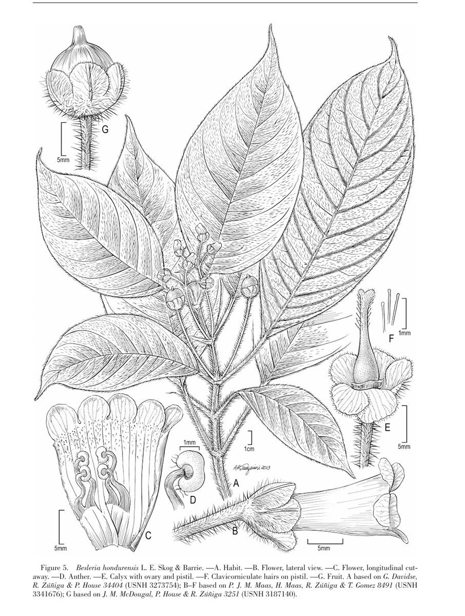 Opwall Science tweet media