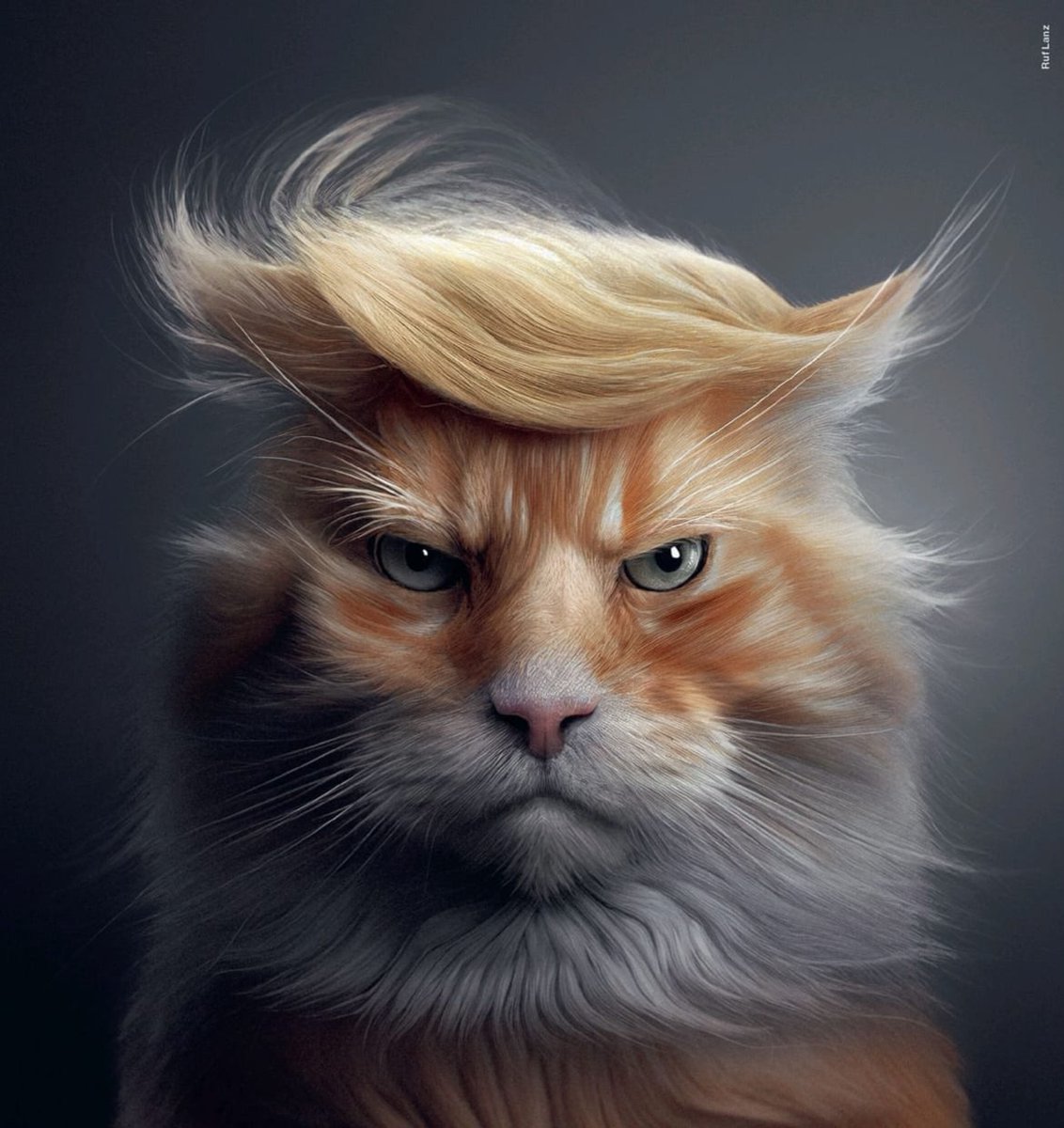 Fortytwo tweet media