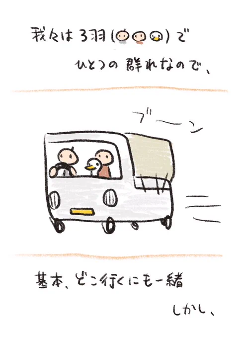 日常 群れの雄としての責務 