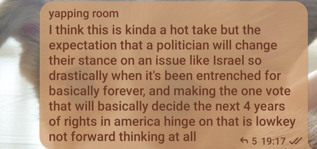 jetskibubbles's tweet image. uh my take on the blaming third party voters thing that's happening rn (as a non-american)