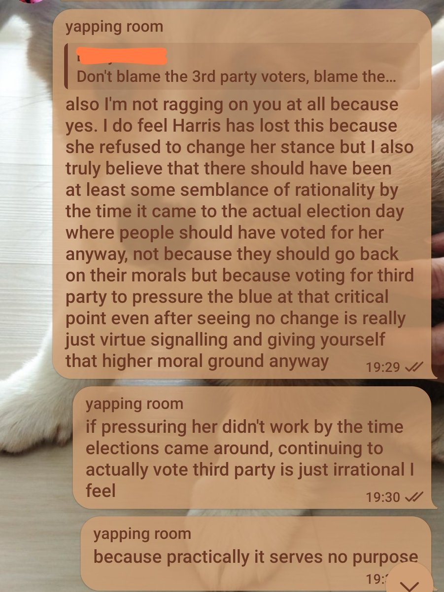 jetskibubbles's tweet image. uh my take on the blaming third party voters thing that's happening rn (as a non-american)