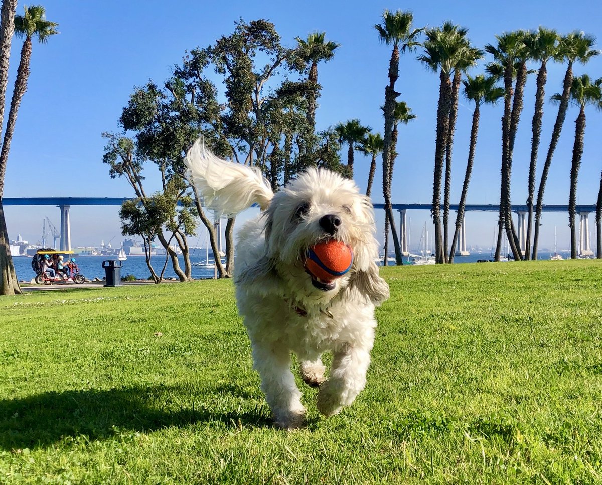 Cathy H. (@jameslane263511) on Twitter photo 