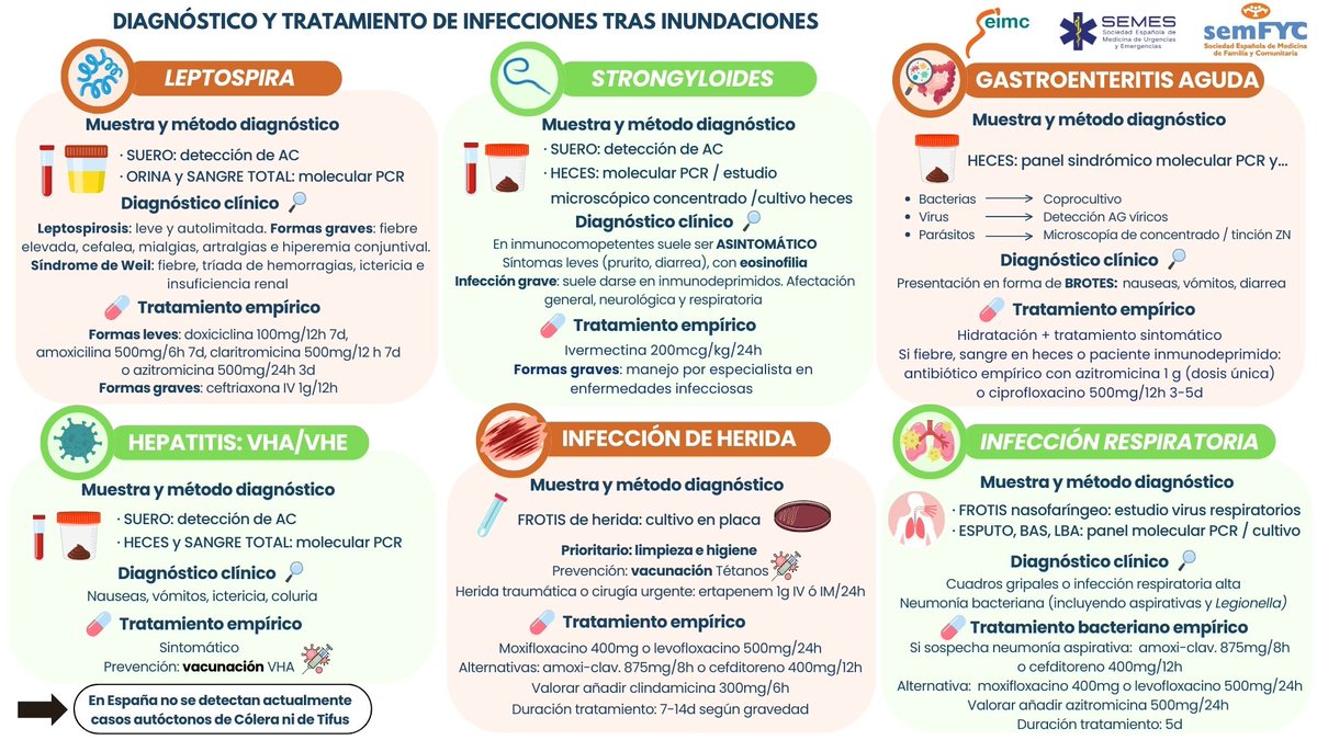 semfyc's tweet photo. 🦠Diagnóstico y tratamiento de infecciones tras #INUNDACIONES de @semfyc, @SEIMC_ y @SEMES_ para situaciones como la reciente #DANA

➡️​Infecciones a tener en cuenta:
➡️​Leptospirosis
➡️​Hepatitis A y E
➡️​Strongyloides
➡️​Infecciones de heridas (atención al #tétanos)
➡️​Infecciones respiratorias (#Legionella y por aspiración)

¡Información clave para prevenir y actuar!