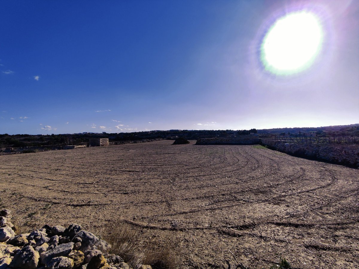 chribonn's tweet photo. #Photo #Malta #Photography #Nature #Sunbaked #parched https://t.co/GUS0Pxhpvg