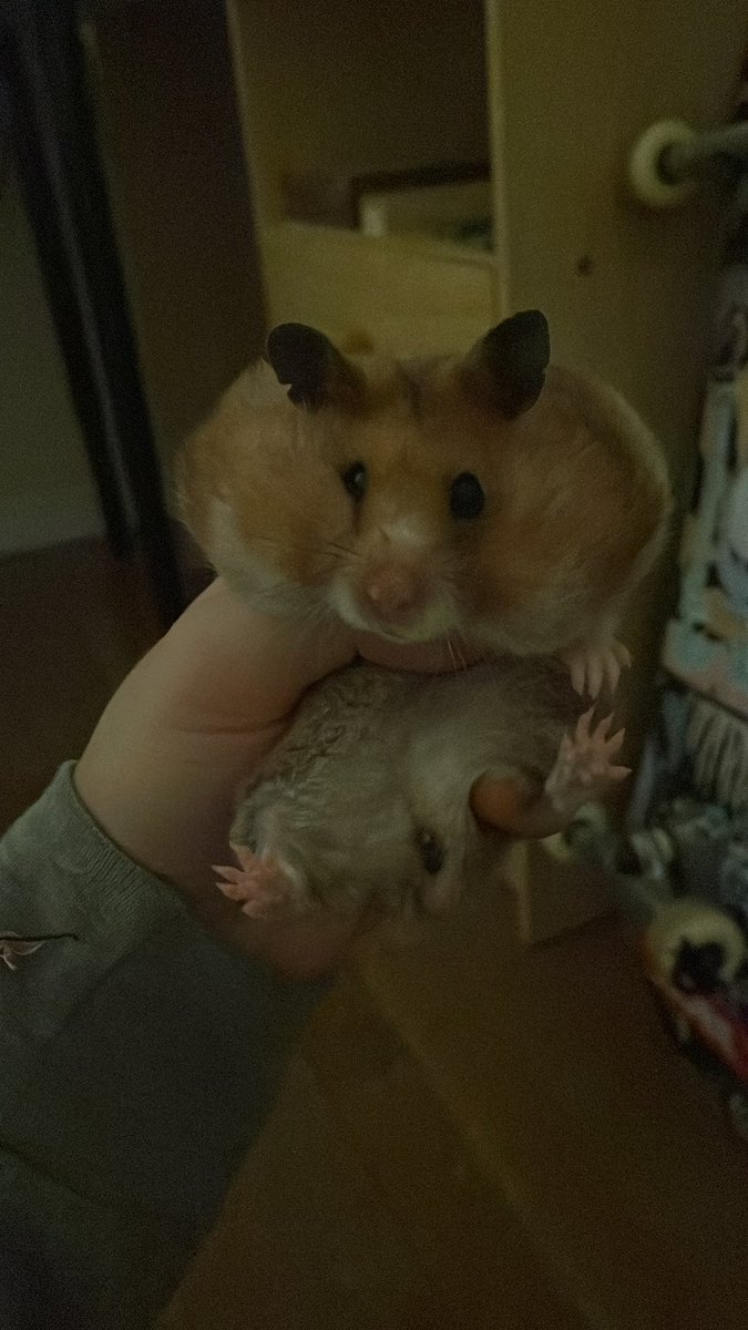 La obra / el artista