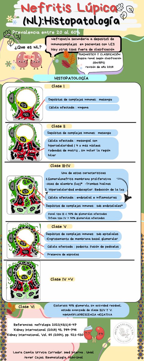 reUNma2023's tweet photo. Resumen corto Histopatología de la Nefritis Lúpica en su clasificación

#visualabstracsUN https://t.co/XbsonoqOKO