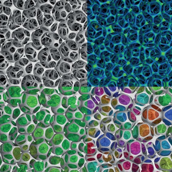 Hourlier Aurelie (@hourlieraurelie) on Twitter photo Very happy to see our work on alginate foams (led by <a href="/MJouanlanne/">Manon Jouanlanne</a> at Institut @CharlesSadron with TSP and MIM team members) highlighted on the cover of Advanced Materials Interfaces! Check it out here: onlinelibrary.wiley.com/toc/21967350/2…
<a href="/WileySTEM/">Wiley STEM</a> <a href="/Wiley_Chemistry/">Wiley Chemistry</a> <a href="/AdvPortfolio/">Advanced Portfolio News</a> Very happy to see our work on alginate foams (led by <a href="/MJouanlanne/">Manon Jouanlanne</a> at Institut @CharlesSadron with TSP and MIM team members) highlighted on the cover of Advanced Materials Interfaces! Check it out here: onlinelibrary.wiley.com/toc/21967350/2…
<a href="/WileySTEM/">Wiley STEM</a> <a href="/Wiley_Chemistry/">Wiley Chemistry</a> <a href="/AdvPortfolio/">Advanced Portfolio News</a>