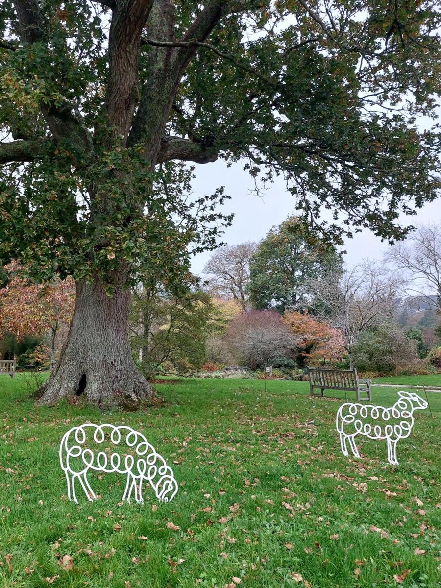 RHS_Rosemoor's tweet image. ❄️ Discover over 200 captivating sculptures set within garden and woodland backdrops as the annual Winter Sculpture Exhibition returns to RHS Rosemoor from 9 Nov to 31 Jan 2025. Perfect for winter walks!👌
rhs.org.uk/gardens/rosemo…
#northdevon #visitdevon #visitexeter #winterwalks