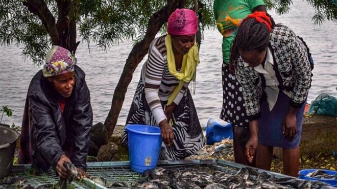 📢 We’re collaborating with the governments of Malawi and Norway, along with local partners 🤝, to combat food insecurity as well as increase aquaculture and agriculture producers’ productivity, income and access to markets. Read more: cdfcanada.coop/data-collectio… #socialimpact