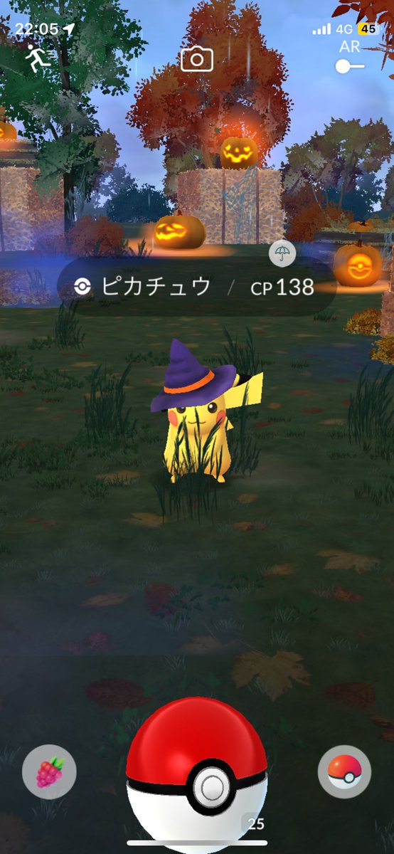 隠れてるつもり？！

#ポケモンGO
#ピカチュウ
#ハロウィン