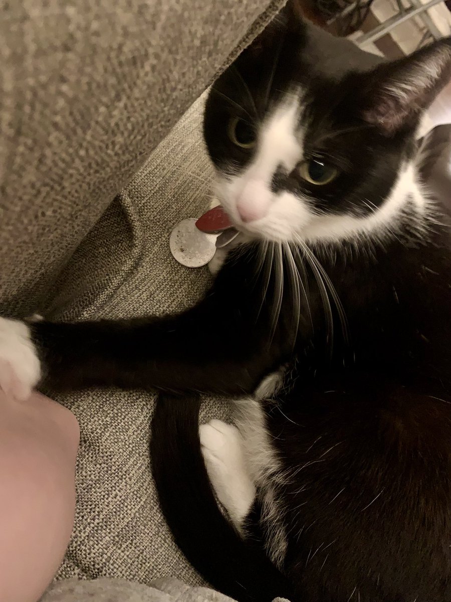 if your sade today plea’s remembor , i lovf and care you alot 🩷