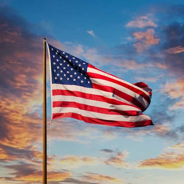 "Brian Armstrong esulta: Storica vittoria dei candidati pro-crypto al Congresso USA"