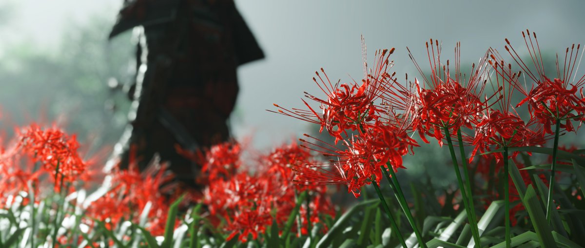 Renzo | Virtual Photographer tweet media