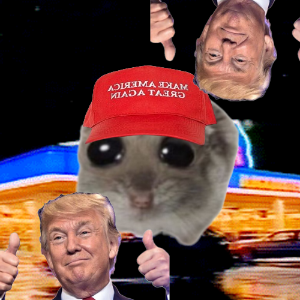 HammagaCoin's tweet photo. HAMMY MAKE AMERICA GREAT AGAIN https://t.co/QLF7DzGfkj