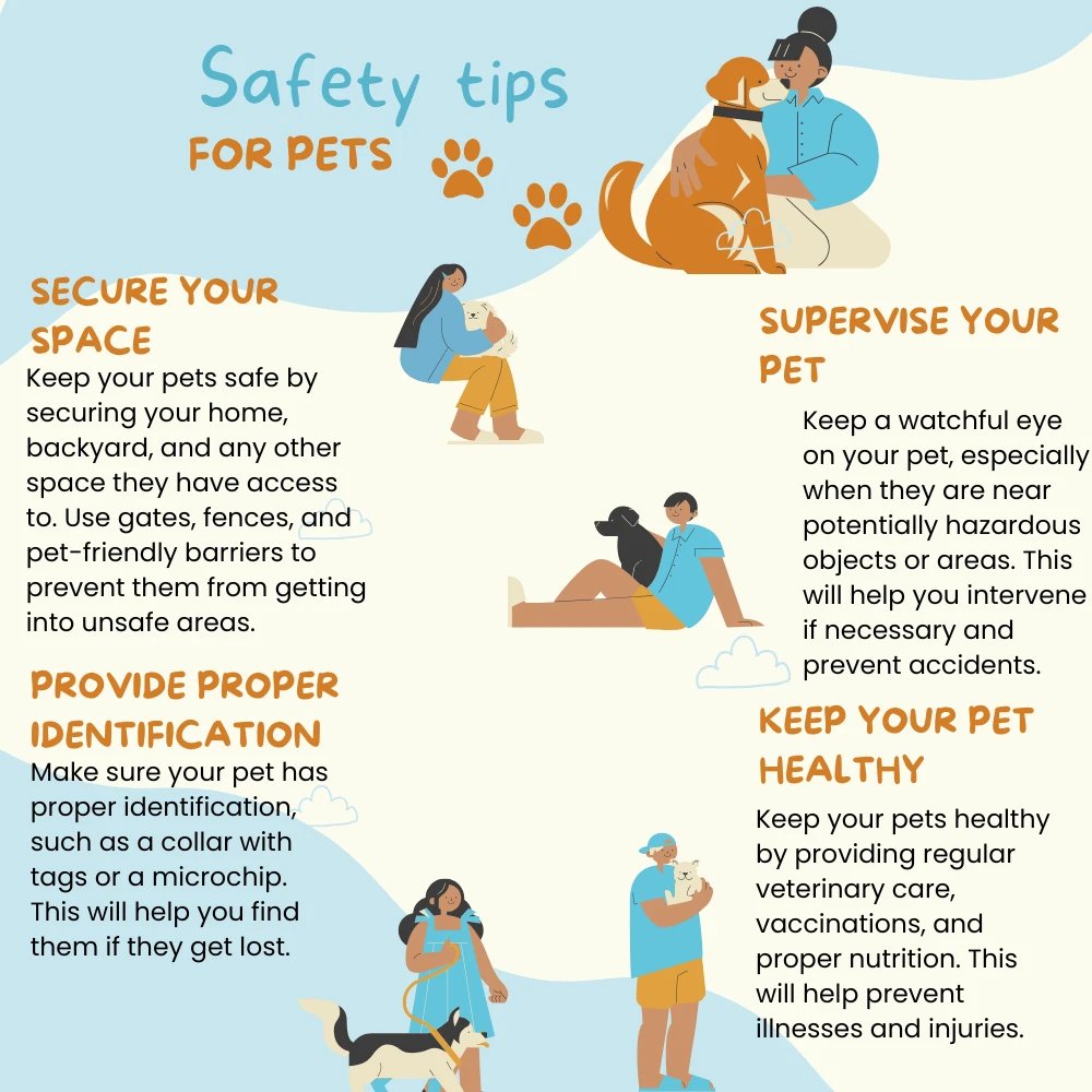 Show your pet some love and follow these essential care tips! ❤️🐶
.
.
.
Visit our website to learn more about our services.

#boisepetsitters #boisepetsitting #petsitting #pets #dogs #dogwalking #cats #boisedogs #boisecats #catsitting #boiseidaho