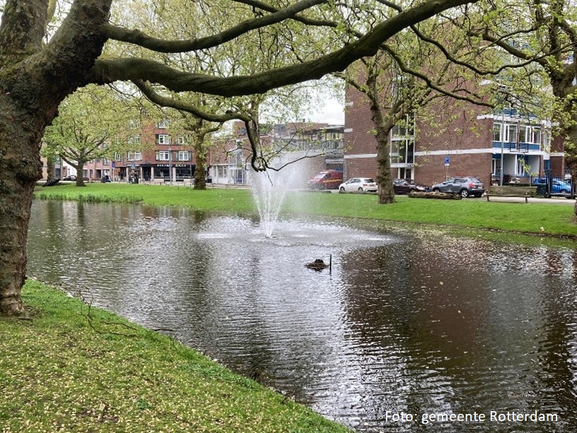 Stadsbeheer010's tweet photo. Deze week halen we alle #Fonteinen uit de #Singels. Dit gebeurt ieder jaar voor de #Winter. Ze krijgen een schoonmaakbeurt en worden waar nodig gerepareerd. Eind april 2025 plaatsen we ze weer terug. https://t.co/IdyqiHLgVz