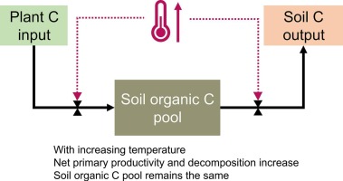 Check out our November 2024 Editors’ Choice recommended by Sebastian Dötterl „Higher temperature accelerates carbon cycling in a temperate montane forest without decreasing soil carbon stocks“ by Siregar and co-workers.
sciencedirect.com/journal/geoder…