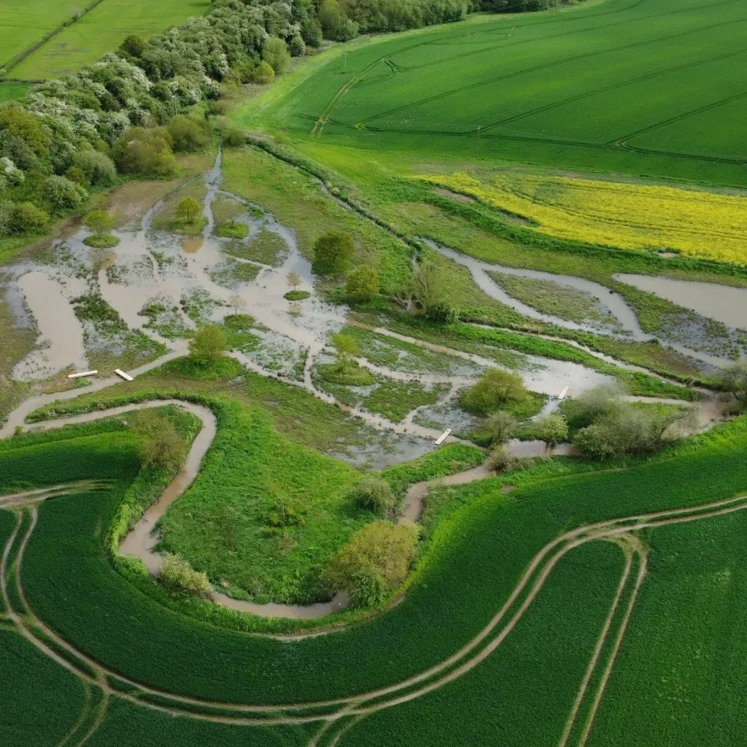 📢We're recruiting 📢

Will you be our new Nature-Based Solutions Manager? 

Nature-based solutions are gaining momentum and you can help build up on it in the Trent. 

Tap the link below for salary and job details 👇

trentriverstrust.org/trent-rivers-t…