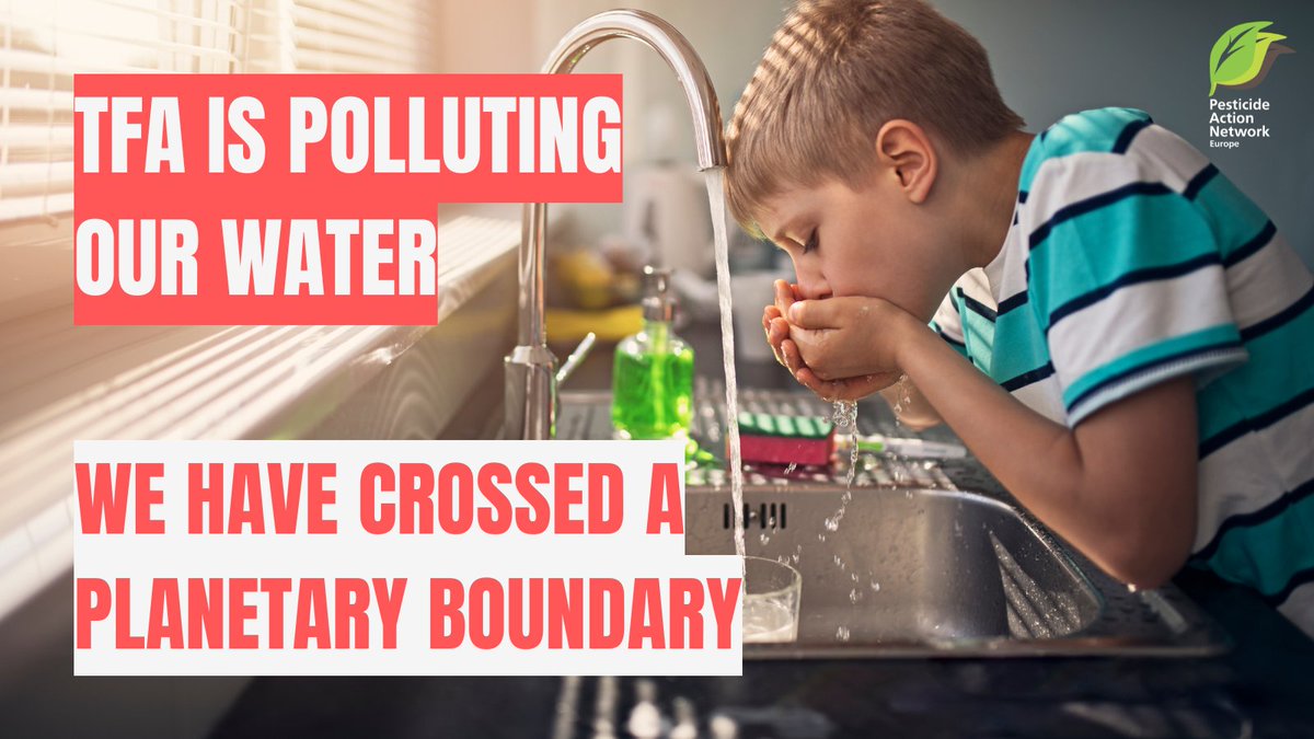 Without realising it, we are crossing a new planetary boundary. A small human-made molecule #TFA is increasingly polluting our drinking water on a global scale. It has been detected in tap water, groundwater and even in some bottled and mineral waters.
pan-europe.info/blog/tfa-pollu…