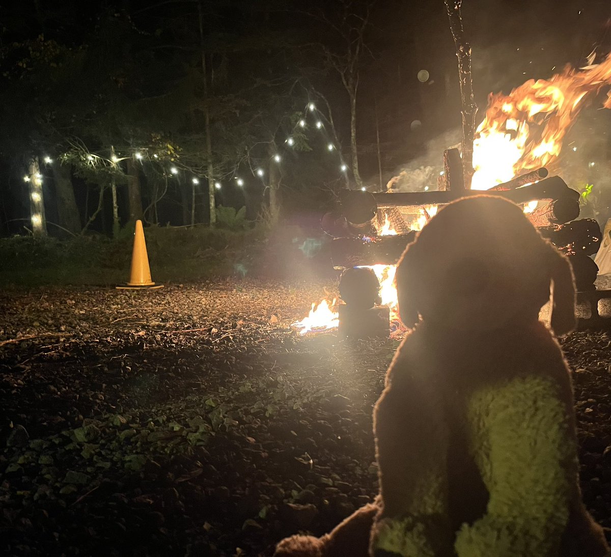 ポコ (@peronopoko) on Twitter photo 