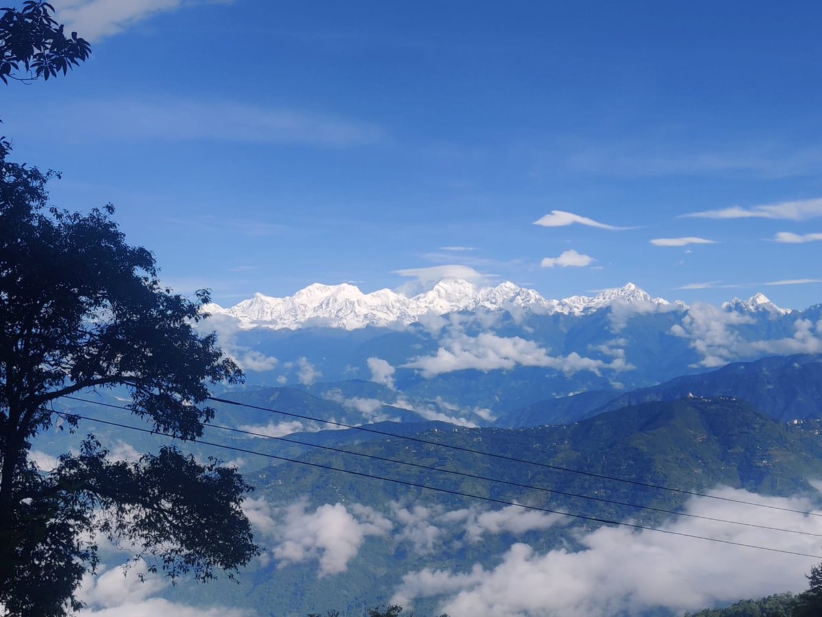 My recent trip to #Lamahatta, a lovely village off #Darjeeling.... foodaholix.in/2024/11/Lamaha…