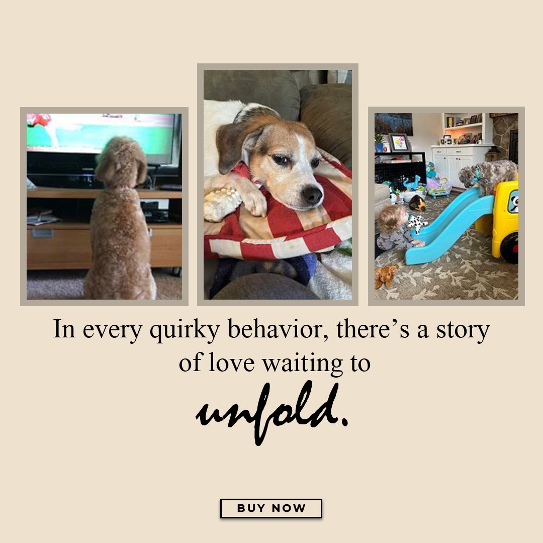 SamisArt's tweet photo. Behind every quirky behavior is a story waiting to be told. Discover the unique and endearing traits of Susie Myers' rescued pets. To learn more about their heartfelt stories, read her book filled with tales of her beloved animals. Order yours now: https://t.co/JqjwYnT42l. https://t.co/cRoKcoiUnF
