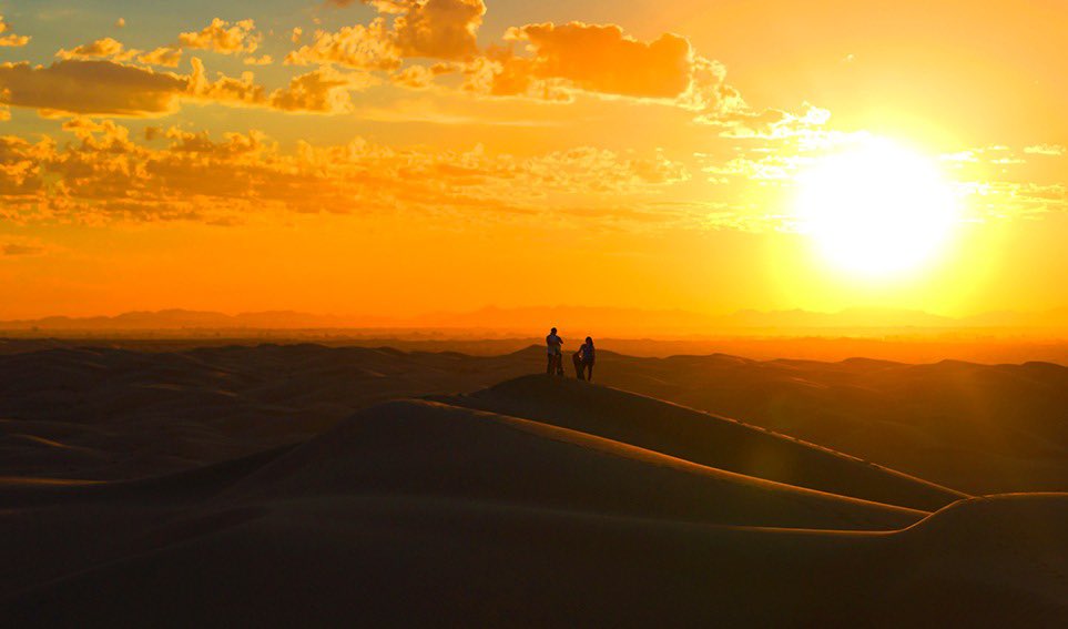 SECTUR_mx's tweet photo. ¡Deslízate en las Dunas de Cuervitos, en Mexicali! 🏄♂️
Una aventura para principiantes y deportistas extremos te aguarda en Baja California.
Practica #sandboard y asómbrate con sus paisajes que se asoman entre el mar y el desierto.🏜️🌊
Conoce más: https://t.co/jLJdSAX7U1 ⬅️ https://t.co/BlZDBtSOZ8