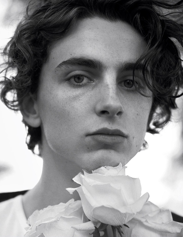 TheCinesthetic's tweet photo. Timothée Chalamet photographed by Karim Sadli for L’Uomo Vogue https://t.co/K0qCONNcXF