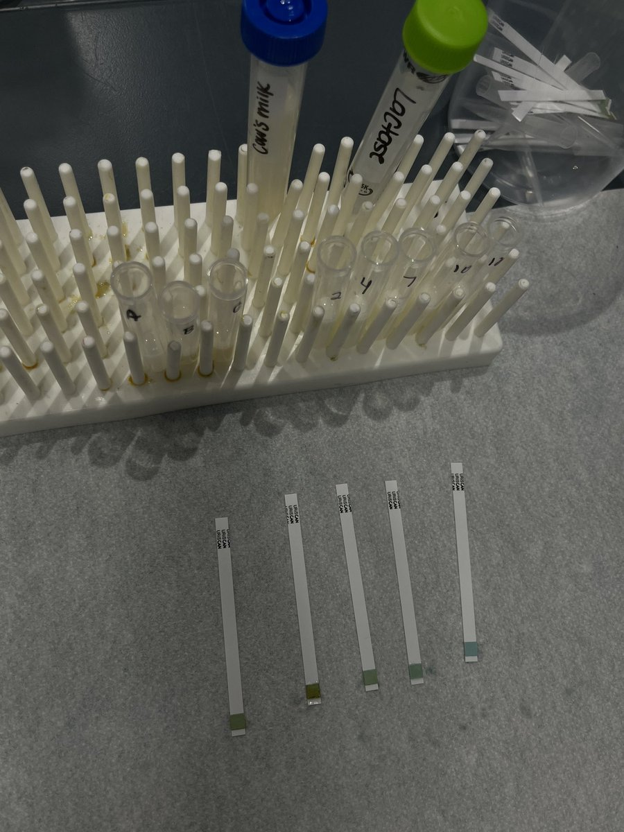 Mrs. Hite, NBCT tweet media