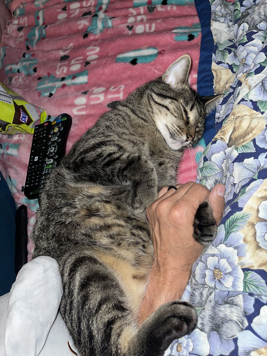 PierceWrona's tweet photo. Sometimes you just need to hold hands with your emotional support Fred. https://t.co/e27ZnA32CZ