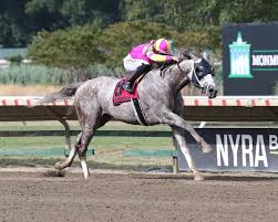 HORSERACING1002's tweet image. TAPIT TRICE🇺🇸2020
(TAPIT  - DANZATRICE BY DUNKIRK)#TapitTrice
B/ Gainesway Farm (Ky) February 17, 2020
O/ Whisper Hill Farm  &amp;amp; Gainesway Farm 
T/ Todd A. Pletcher 
KEESEP $1,300,000
13-6-0-3---$1,873,650
Blue Grass S G1, Monmouth Cup G3, Woodward S G2, South Tampa Bay Derby G3