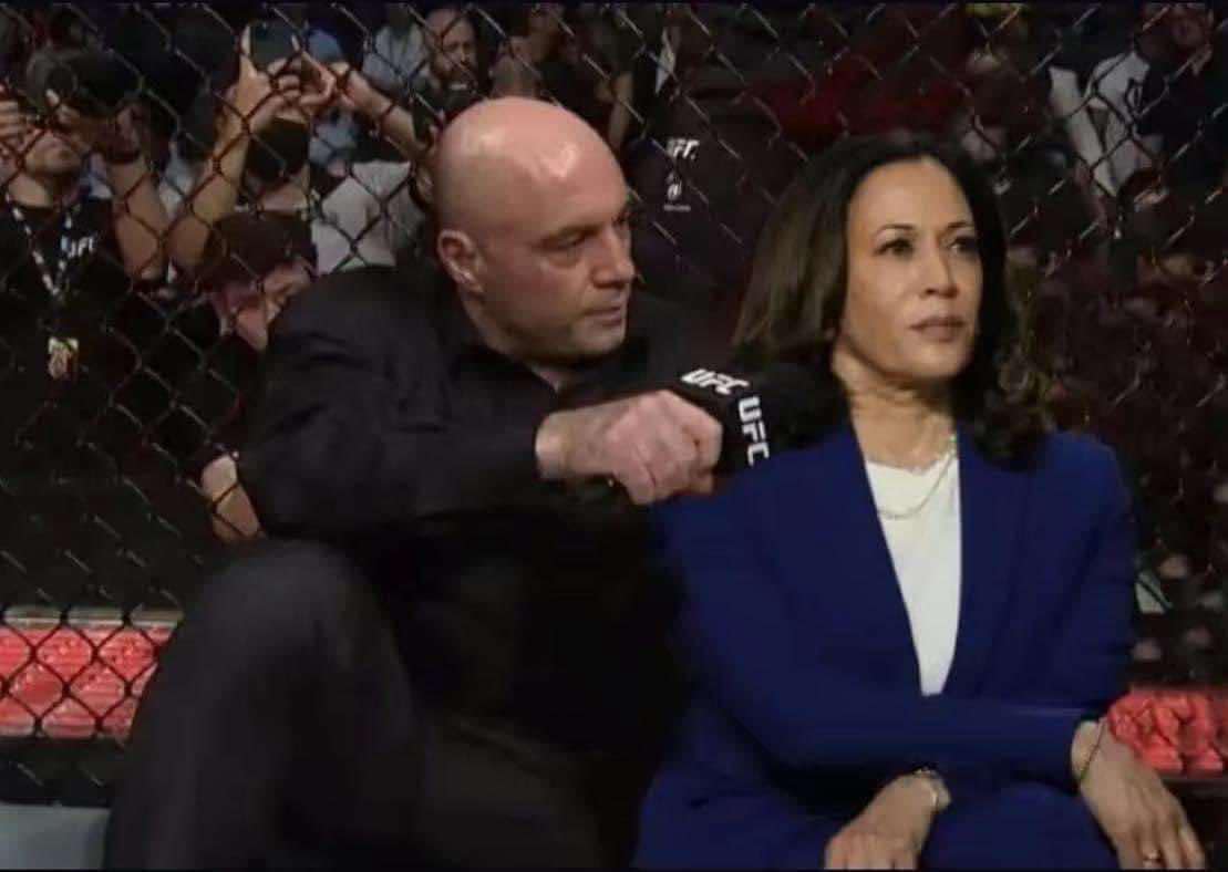 Magic Internet Money tweet media