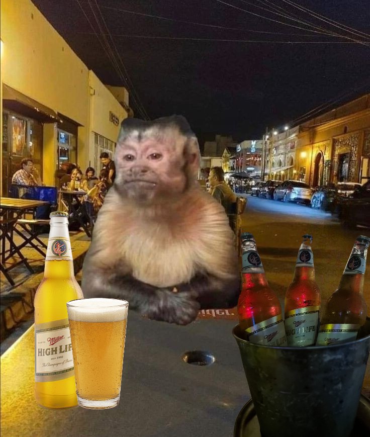 Pool Fiction tweet media